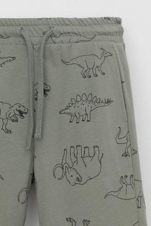 Crockid _ КР 400793-1/зеленый чай,динозавры к554 шорты для мал  фото 2