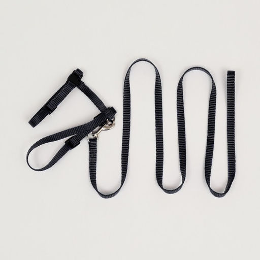 Комплект для кошек, ширина 1 см, ОШ 16,5-27 см, ОГ 21-35 см, поводок 120 см, чёрный - Пижон фото 7