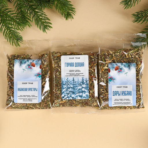 Подарочный набор новогодний Тайны матушки зимы: сбор трав 3 шт. ? 20 г, варенье из сосновых шишек, 100 мл. - Доброе здоровье фото 2