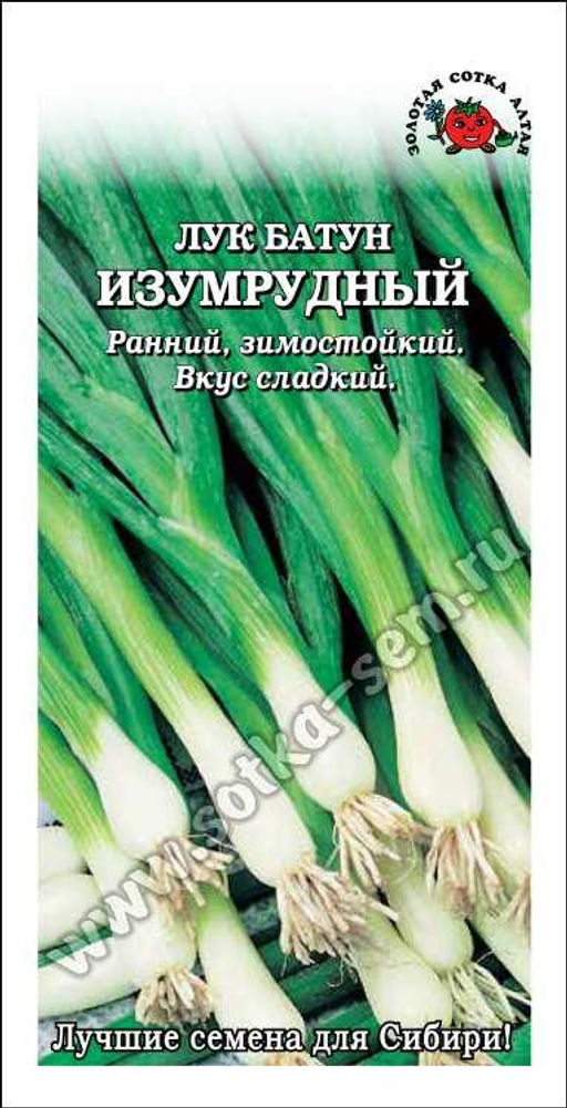 Лук батун Изумрудный 1г (Золотая сотка Алтая)