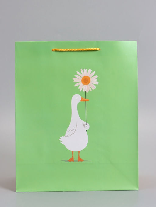 Пакет подарочный ламинированный «Ромашка», 26×12×32 см