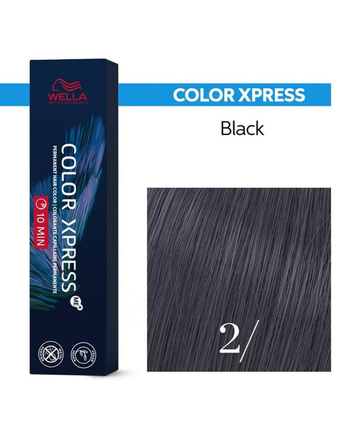 Краска Color Xpress 10' 2/ Black, 60 мл