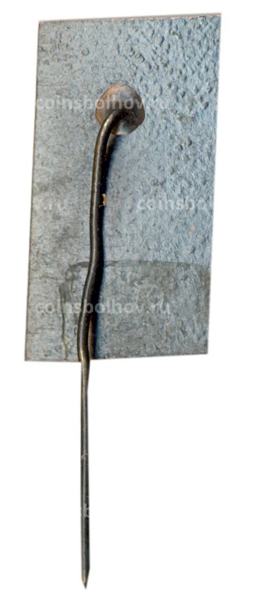 Значок Саласпилс