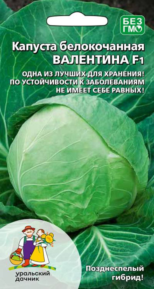 Капуста ВАЛЕНТИНА F1
