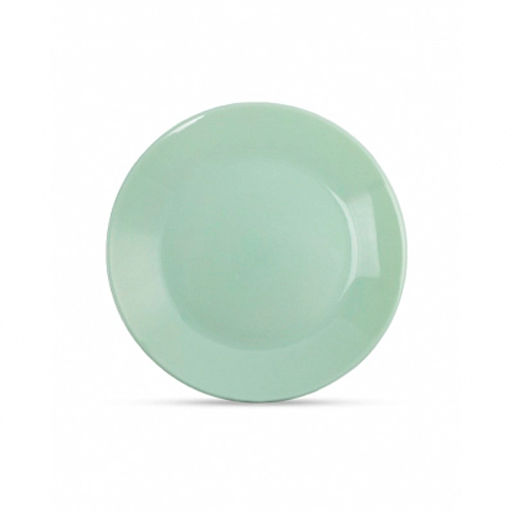 Тарелка обеденная ZELIE PARADISE GREEN 25см арт.V5851 /ЛЮМИНАРК/