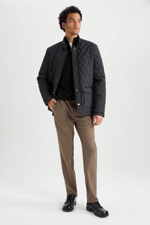 Стеганое пальто приталенного кроя с воротником-стойкой - Defacto фото 2