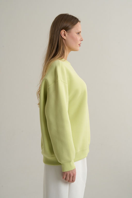 Свитшот Светло-зеленый ANTA SKATE Sweatshirt фото 4