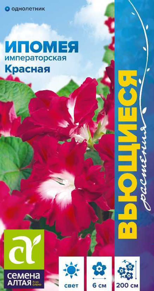 Цветы Ипомея Императорская красная/Сем Алт/цп 0,2 гр. Вьющиеся растения