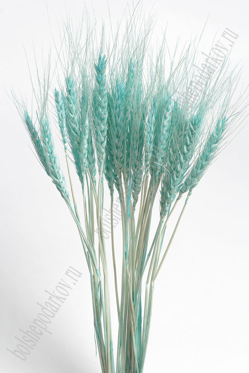 Сухоцветы "Колоски" SF-4323, аквамариновый