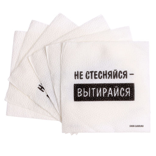 Цена за 2 шт. Салфетки бумажные однослойные «Не стесняйся-вытирайся», 24×24 см, набор 20 шт.