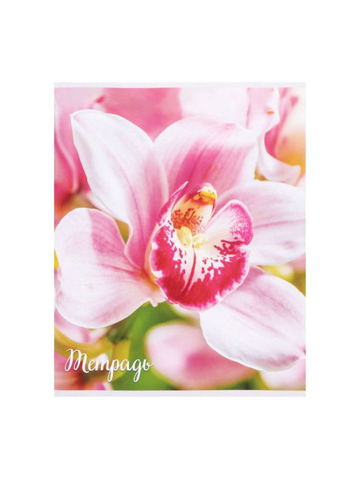 Набор тетрадей, 96 листов в клетку Calligrata "Цветы-1", серые листы, 4 штуки