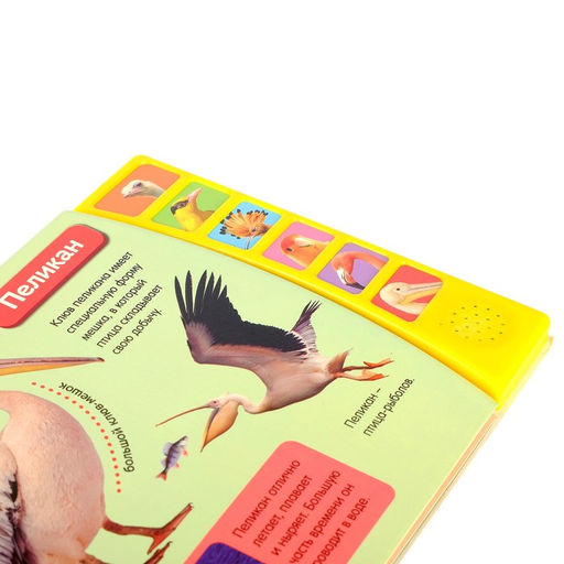 Музыкальная книга Экзотические птицы, 12 стр. - Буква-ленд фото 3