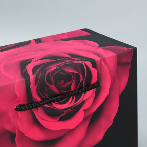 Цена за 2 шт. Пакет—коробка, подарочная упаковка, «Beautiful», 23 х 18 х 11 см