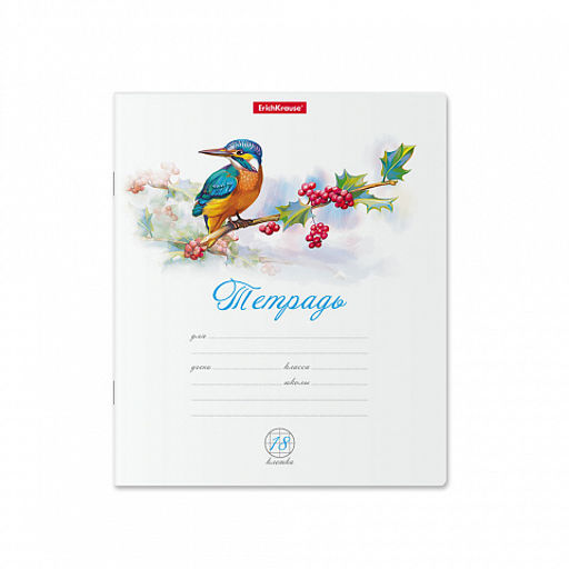 Цена за 10 шт. Тетрадь школьная ученическая ErichKrause Birds, 18 листов, клетка (в плёнке по 10 шт.)_MIX-PACK  фото 6