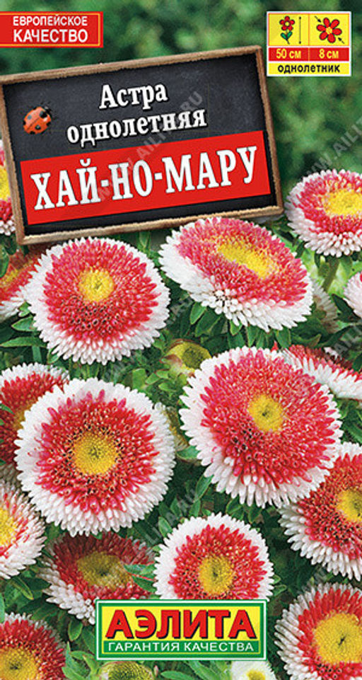 1235A Астра Хай-но-мару помпонная 0,1гр