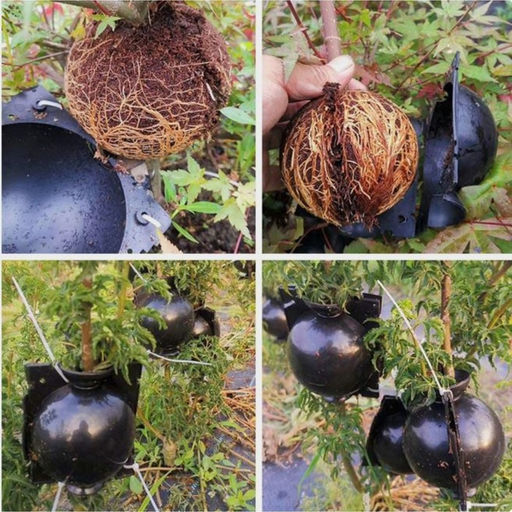 Цена за 2 шт. Шар для укоренения растений, d = 8 см, под ветку 1 см, чёрный , Greengo  фото 5