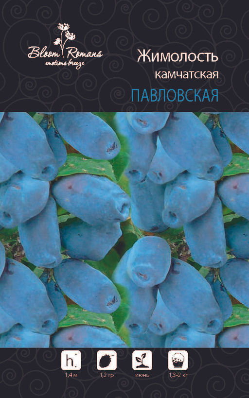 Жимолость Павловская
