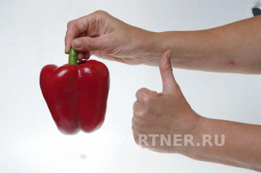 Перец сладкий Арчи - Партнер фото 3