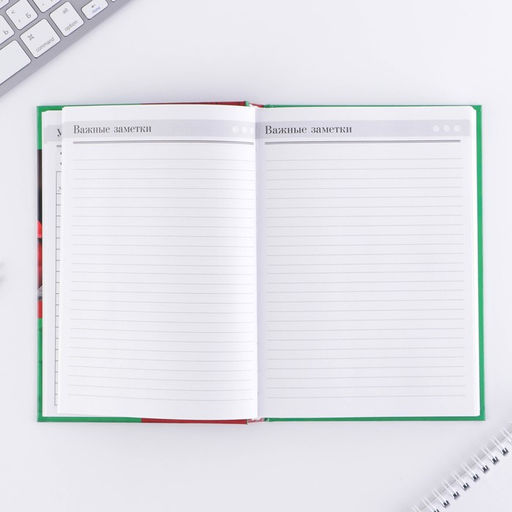 Ежедневник Ежедневник учителя, твёрдая обложка картон 7БЦ, формат А5, 160 листов - Artfox фото 9