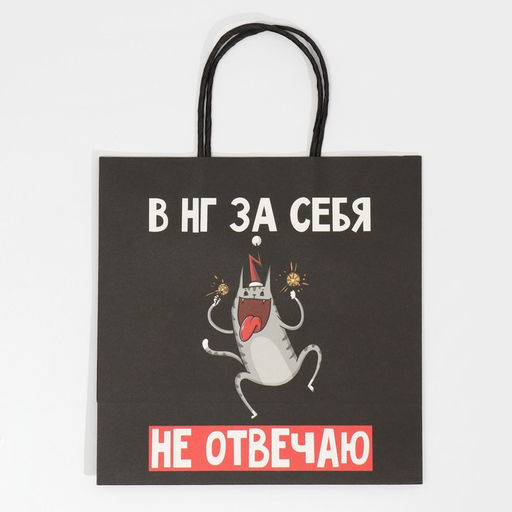 Пакет подарочный Вообще не отвечаю, 22 22 11 см - Дарите счастье фото 5