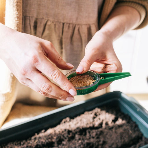 Цена за 3 шт. Сеялка для семян, ручная, для точечной посадки, длина 12 см, пластик