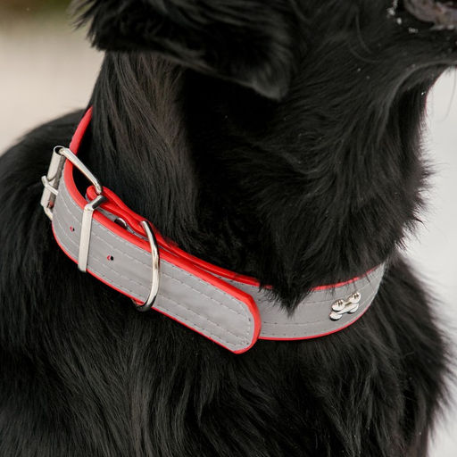 Ошейник широкий с косточками, светоотражающий, 66 х 3,5 см, ОШ 48-58 см, красный - Пижон фото 8