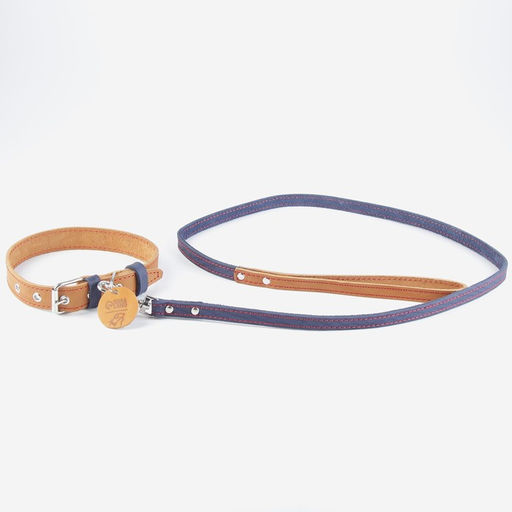Комплект : ошейник (36-56х2.5 см) и поводок (130х1.5 см), цвет бежевый и синий - Пушистое счастье фото 5