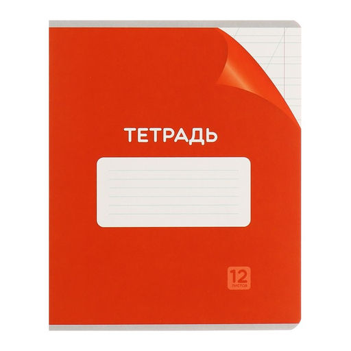 Комплект тетрадей из 10 штук 12 листов в косую линейку Однотонная Классика с уголком, обложка мелованный картон, ВД-лак, блок №2 (серые листы) - Calligrata фото 4