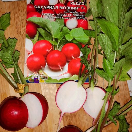 Редис САХАРНАЯ МОЛНИЯ F1 - Уральский дачник фото 3