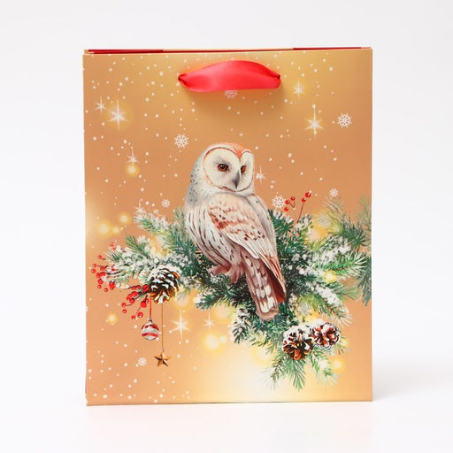 Пакет подарочный новогодний ламинированный «Совушка», 18×22.3×10 см