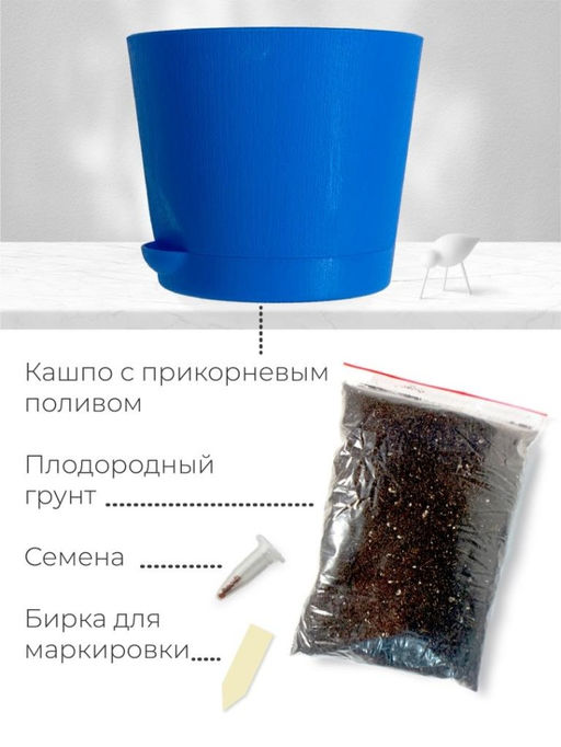 Набор д/выращивания растений "Магия цветов", "Ель голубая"