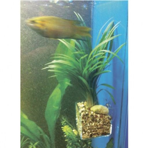 Горшочек в аквариум Зоосиндикат 40*40*40мм/на гелевых присосках (прозр.пластик 1,5мм) ZS0410