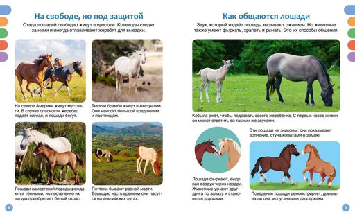 Лошади. Гийоре М.-Р. - Махаон фото 3