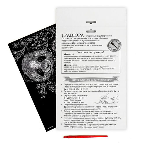 Гравюра Панда с металлическим эффектом серебро А4 - Школа талантов фото 4