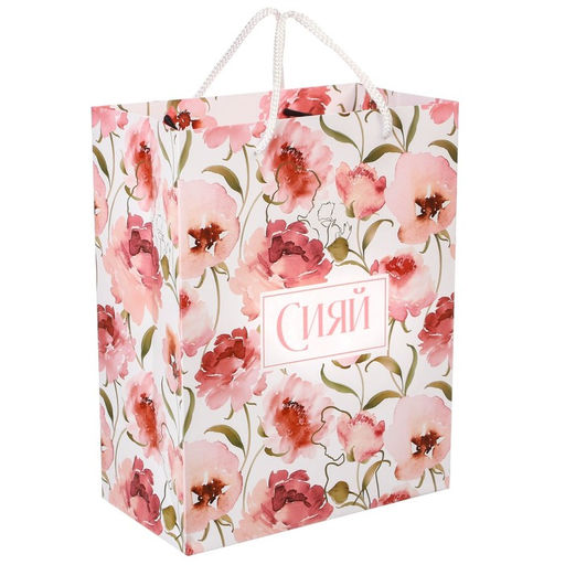Пакет подарочный «Сияй»,18×23×10 см, упаковка, Принцессы