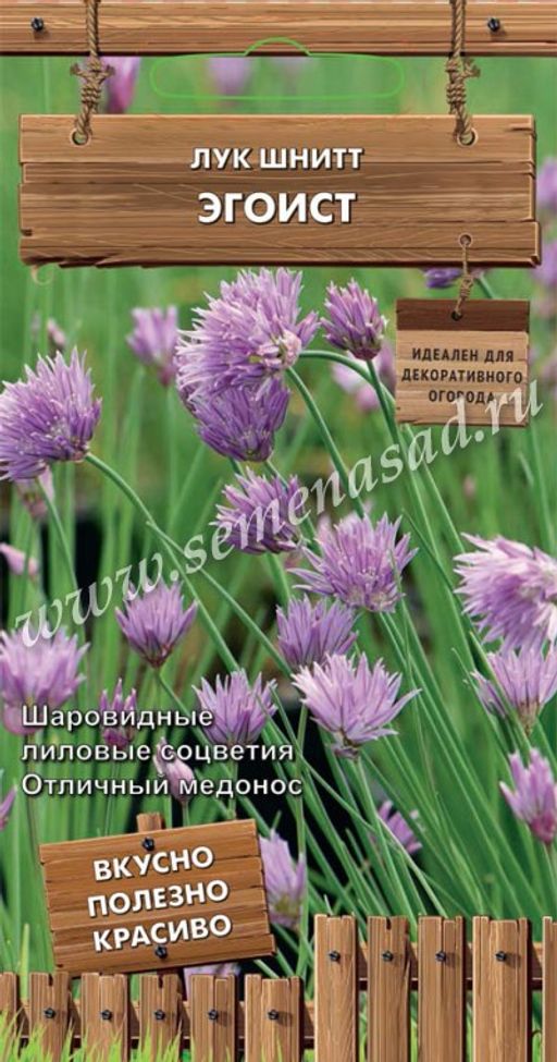 Лук шнитт Эгоист (сер.Декоративный огород) (А) (ЦВ) 0,25гр