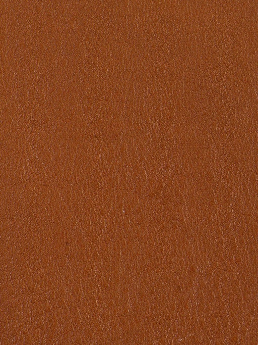 Сумка ELEGANZZA ZYU2412-21 camel