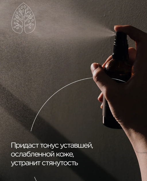 Гидролат кедровой шишки 100 мл - Baikal cosmetics фото 3