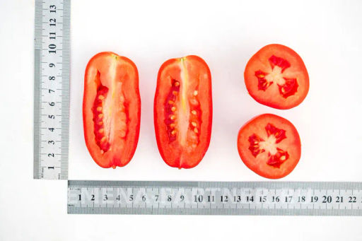 Томат Агафья - Партнер фото 4