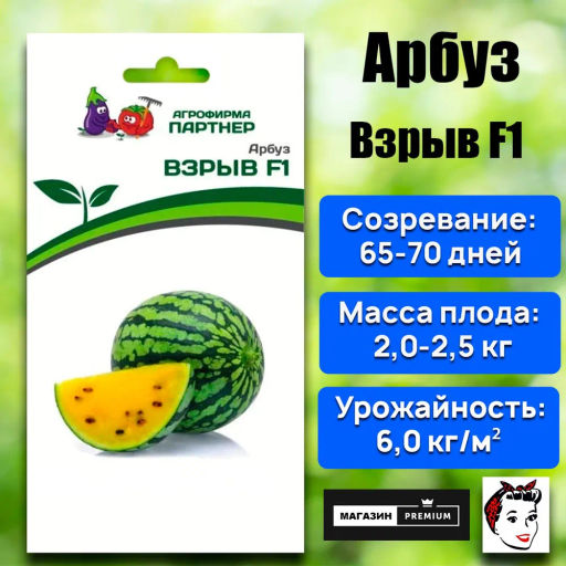 Арбуз Взрыв - Партнер фото 5