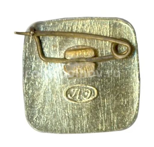 Значок Ленинград Летний дворец Петра I