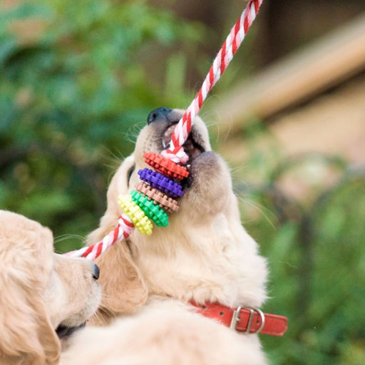 Игрушка жевательная Шестерёнка на канате, 32 см, диаметр колец 5 см, микс цветов - Пижон фото 4