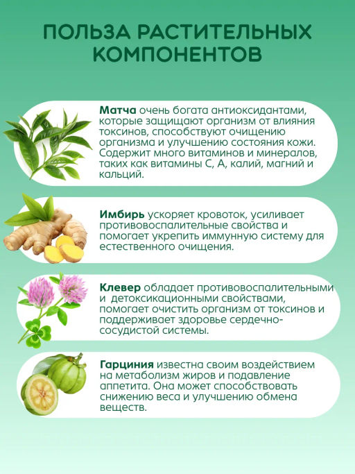 Фитококтейль "Детокс", 5 стиков по 5 г Алфит 8474