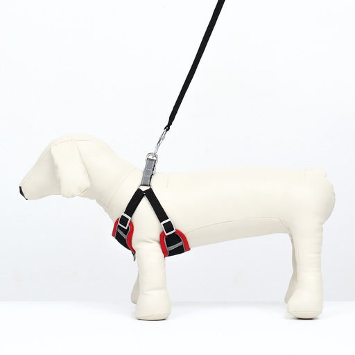 Комплект Sport+, S, поводок 120 x1 ,5 см, ОШ 39-41 см, ОГ 44-48 см, вес животного 7-13 кг, чёрный 9 - Пижон фото 2