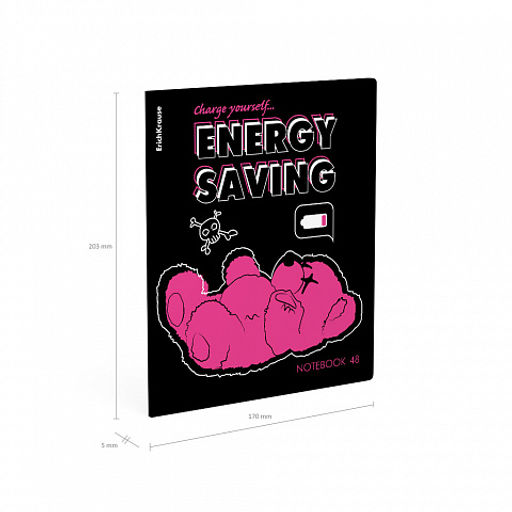 Цена за 5 шт. Тетрадь общая ученическая ErichKrause Low Battery, 48 листов, клетка, матовая ламинация+выборочный УФ-лак_MIX-PACK  фото 10