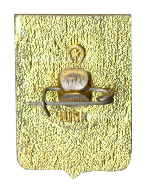 Значок Волгоград