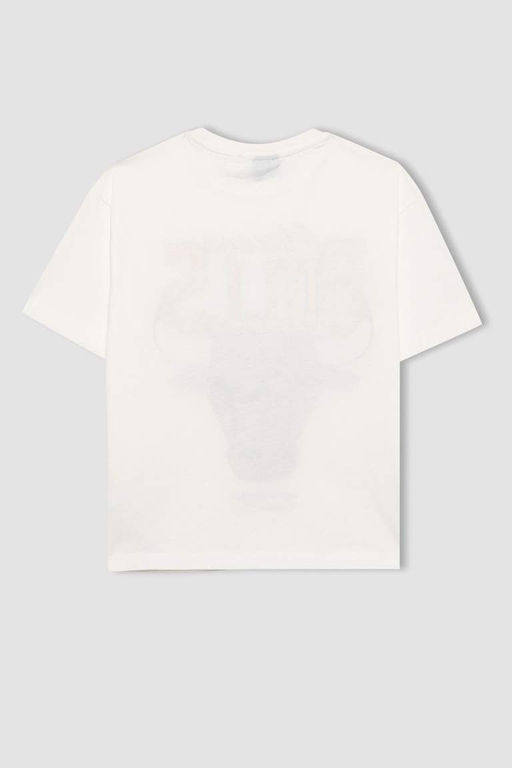 Футболка большого размера с круглым вырезом NBA Chicago Bulls для мальчиков - Defacto фото 6