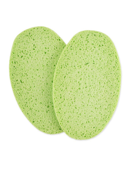 Губка ABSORB+ ECO 2шт 11х19см