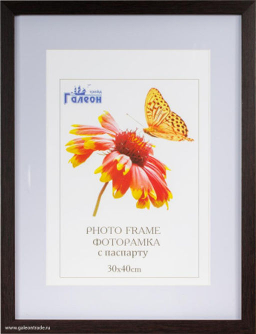 Рамка для оформления вышивки 30х40 с паспарту 8098 / ZR208B-208 /окно 21х30 ф - Галеонтрейд фото 2