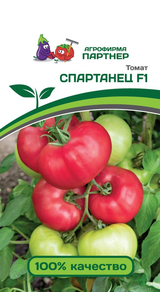 Томат Спартанец